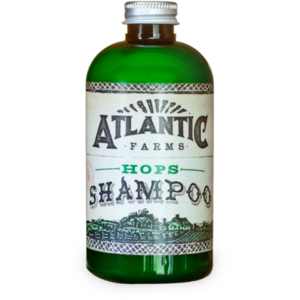 shampoo1_large